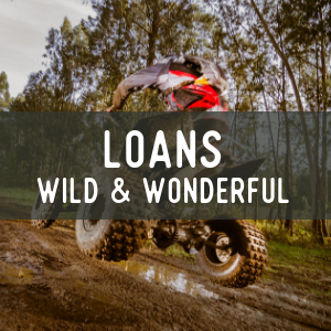 Wild Wonderful Loans