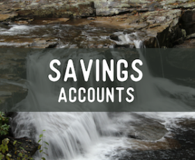 Savings Accounts